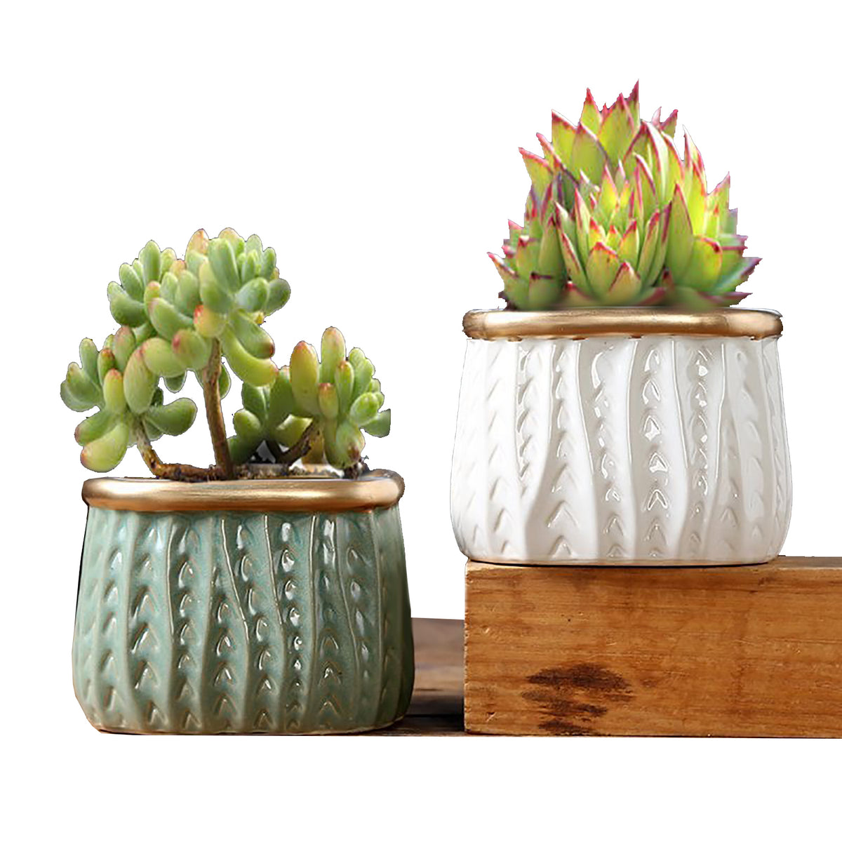 2/5/8 Succulent Pots Set Ceramic Clay Pottery Pots Succulent Flower Planter Draining Hole – detail 7