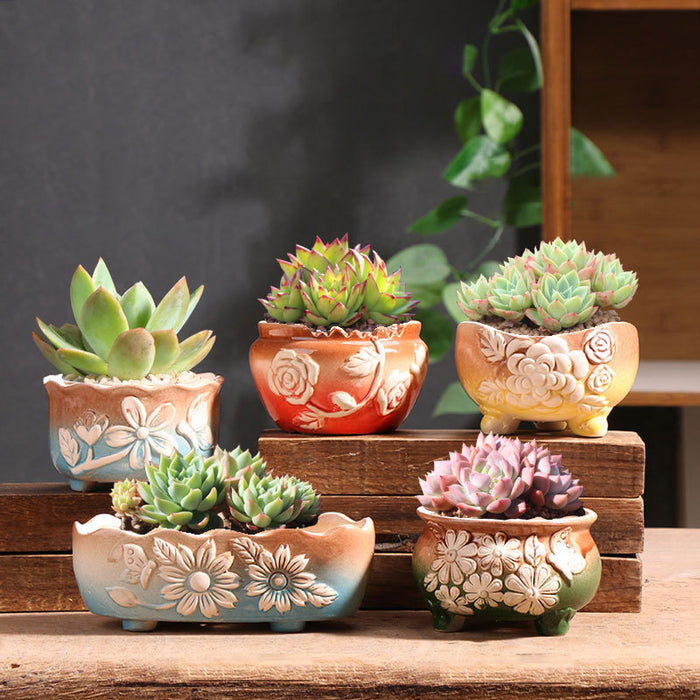 Set of 5 Succulent Plant Pots Flower Patterned with Drainage Holes