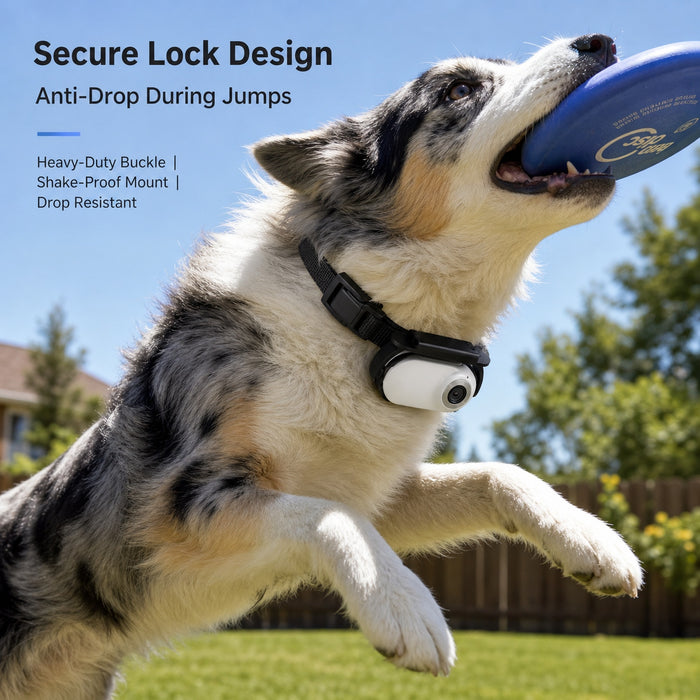 1080P WiFi Pet Collar Camera with 32GB Card – HD Dog POV Action Camera