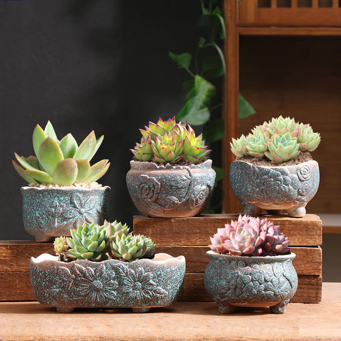 Set of 5 Succulent Plant Pots Flower Patterned with Drainage Holes