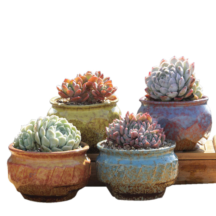 4/5/6 Pots Set Ceramic Clay Pottery Pots Succulent Flower Planter Draining Hole