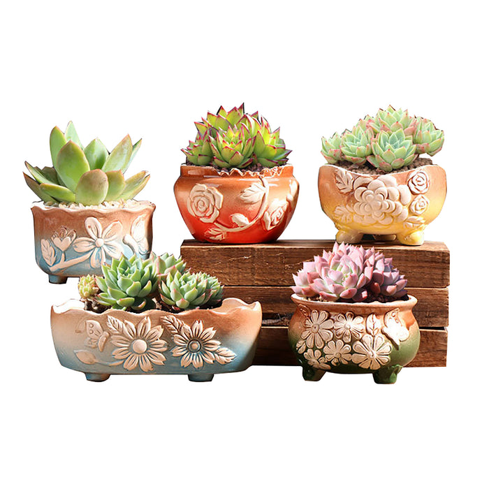 Set of 5 Succulent Plant Pots Flower Patterned with Drainage Holes