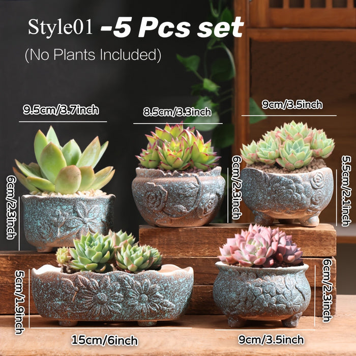 Set of 5 Succulent Plant Pots Flower Patterned with Drainage Holes