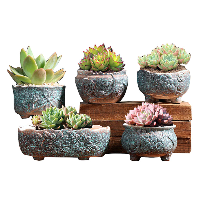 Set of 5 Succulent Plant Pots Flower Patterned with Drainage Holes