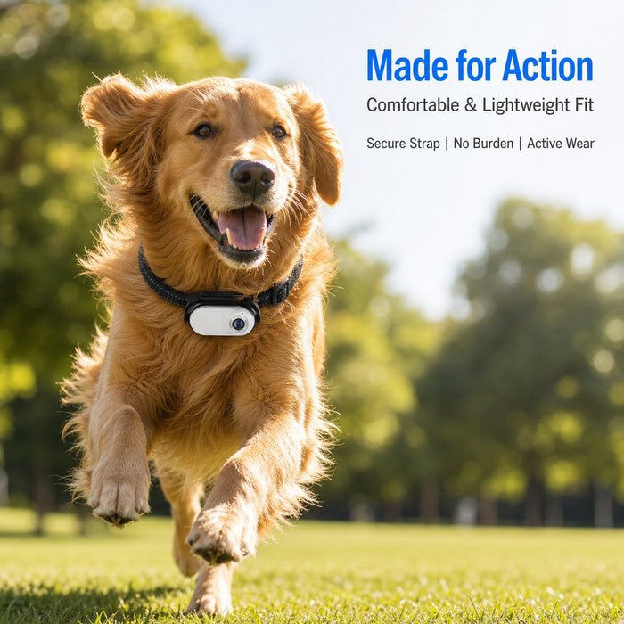 1080P WiFi Pet Collar Camera with 32GB Card – HD Dog POV Action Camera