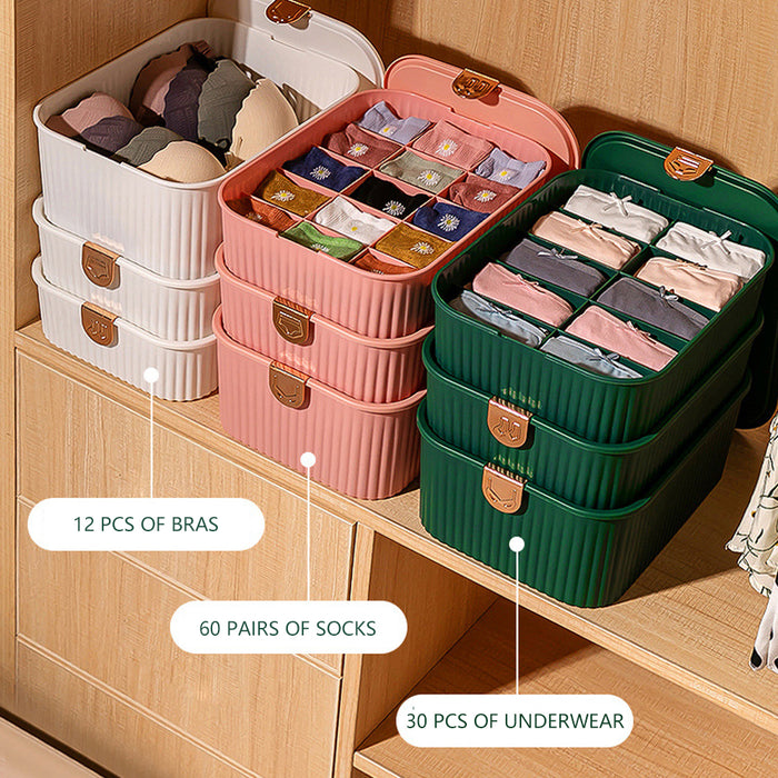 3 Pcs Underwear Storage Boxes Set  Multi-Functional Socks Bra Organizer with Cover