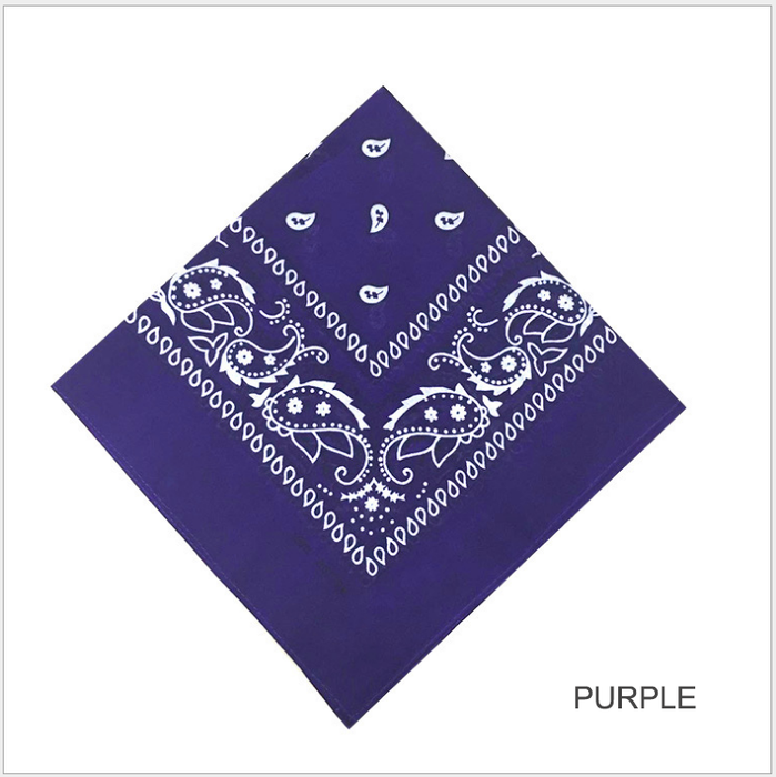 High Quality Paisley Bandana Scarf Head Band Fashion Multiple Colors choices - Joyreap Online